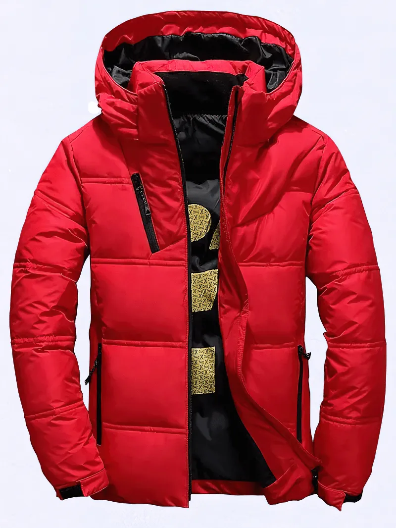 Men's Insulated Puffer Jacket with Removable Hood - SF1981